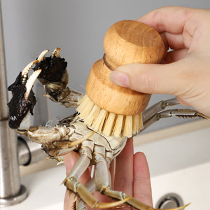 ANBBAS Wood Dish Brush,Palm Scrubber for Kitchen Dishwashing(3 Count)